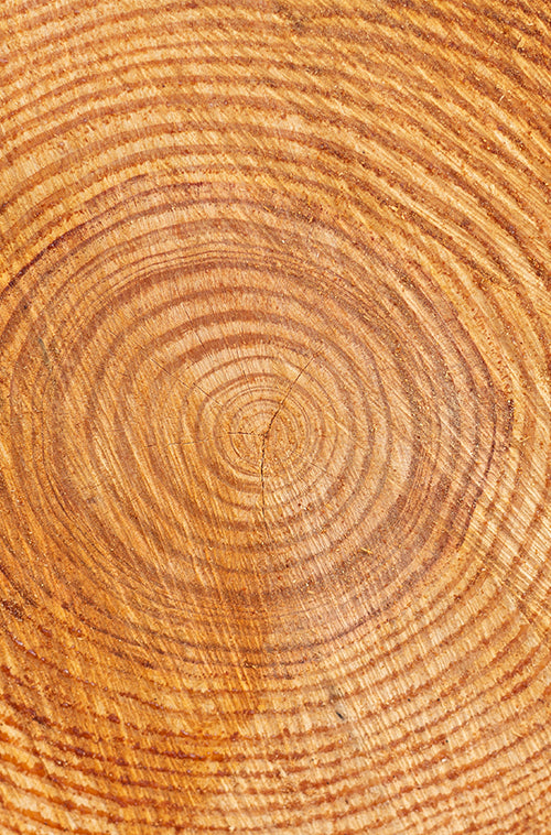 Amber wood