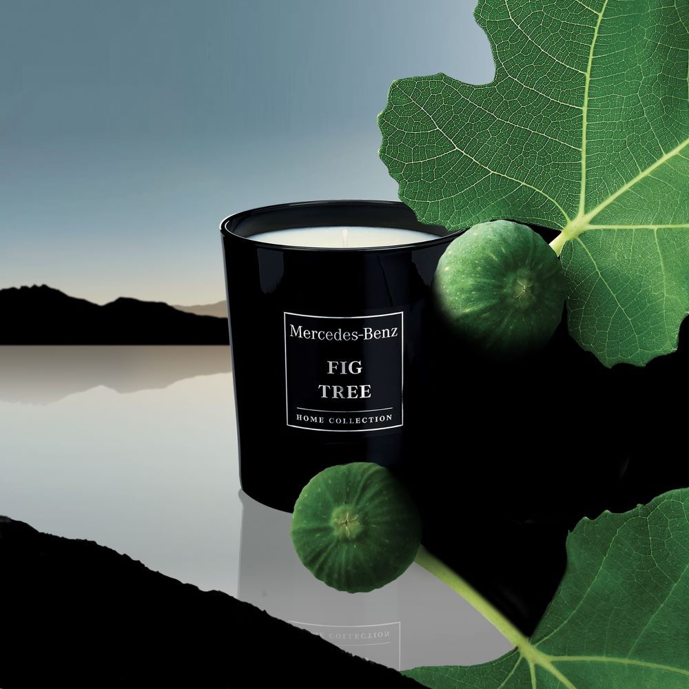 Mercedes-Benz Fig Tree candle
