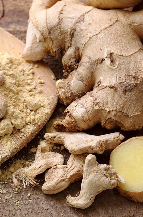 Ginger