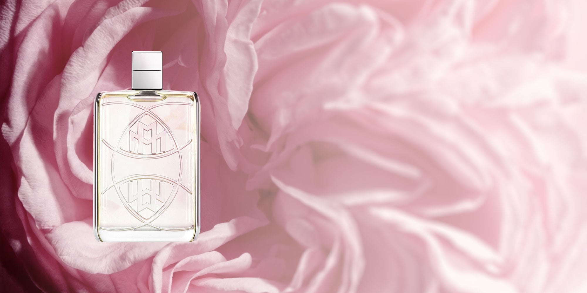 Maybach Charismatic Rose