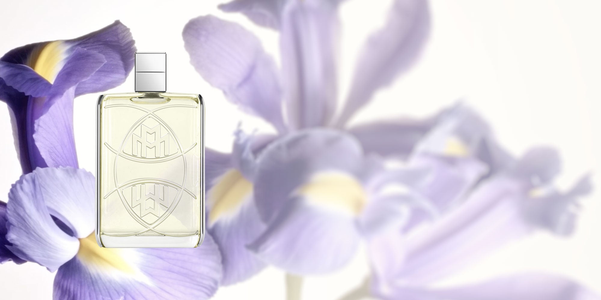 Maybach Unexpected Orris