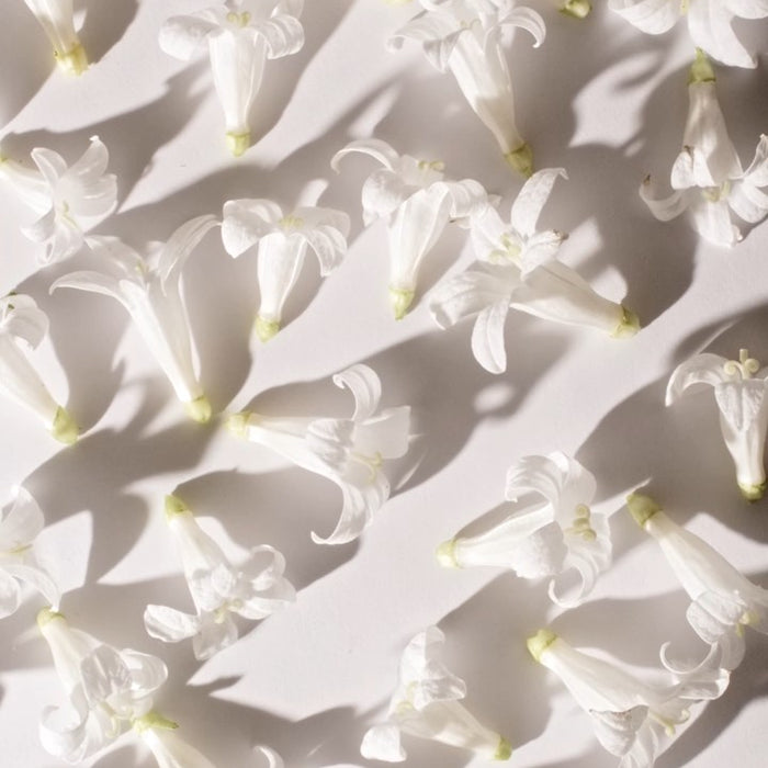 Light flowers