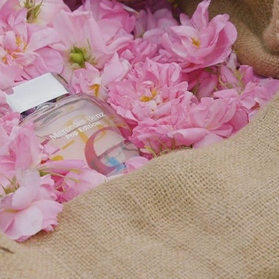 Composition and olfactory pyramid: all the magic of perfume