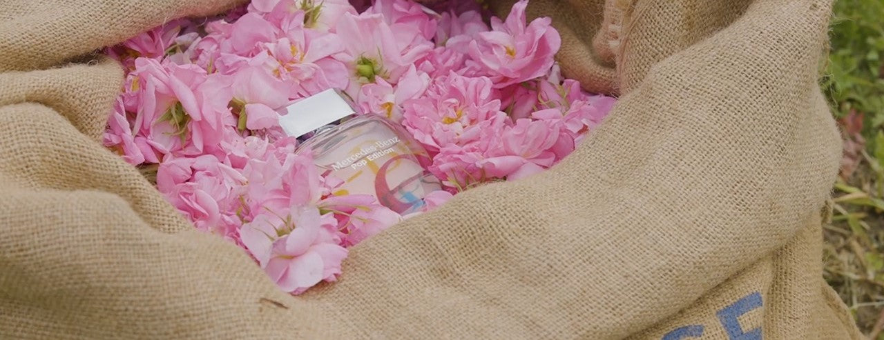 Composition and olfactory pyramid