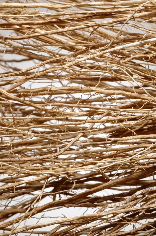 Vetiver