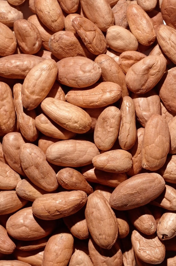 Cacao beans